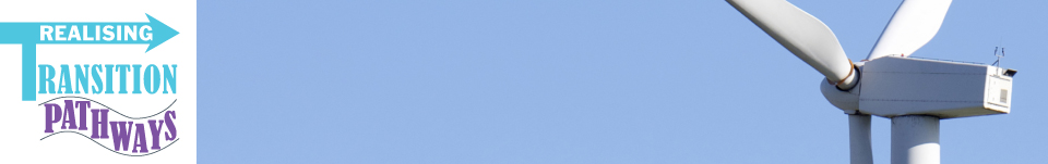 Realising transition pathways towards a low carbon future